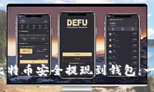 如何将比特币安全提现到钱包:一步步指南