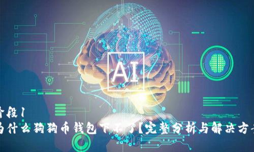 阶段1
为什么狗狗币钱包下不了？完整分析与解决方案