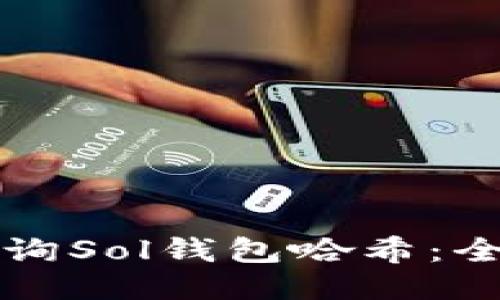 如何查询Sol钱包哈希：全面指南