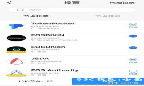 如何选择和使用TP BSC钱包：全面指南