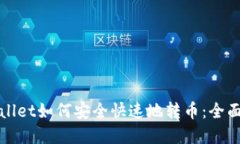 tpWallet如何安全快速地转币：全面指南