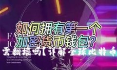比特币钱包使用需翻墙吗？详解全球比特币钱包
