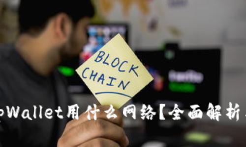: 提币到tpWallet用什么网络?全面解析与实用指南
