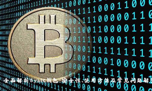 : 全面解析Bybit钱包:安全性、使用方法及常见问题解答