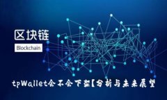 tpWallet会不会下架？分析与未来展望