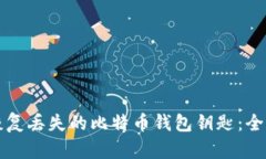 如何恢复丢失的比特币钱包钥匙：全面指南