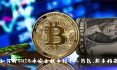 如何将SHIB币安全提币到个人钱包：新手指南