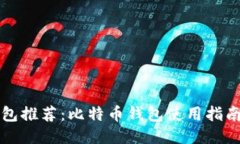 美国钱包推荐：比特币钱包使用指南与比较