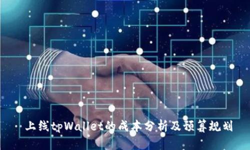 上线tpWallet的成本分析及预算规划