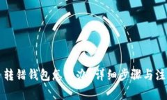 比特币转错钱包怎么办？详细步骤与注意事项
