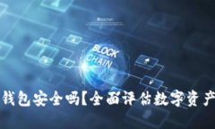 比特币钱包安全吗？全面评估数字资产安全性