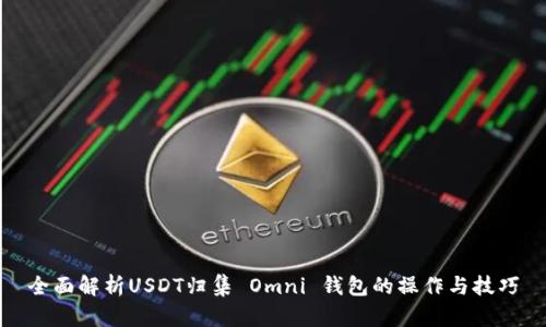全面解析USDT归集 Omni 钱包的操作与技巧