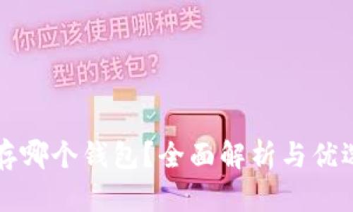 屎币存哪个钱包?全面解析与优选指南