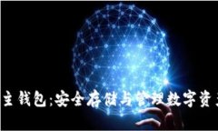 :了解USDT的主钱包：安全存储与管理数字资产的最