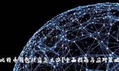 比特币钱包被盗怎么办？全面指南与应对策略