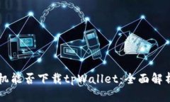 苹果手机能否下载tpWallet：全面解析与指南