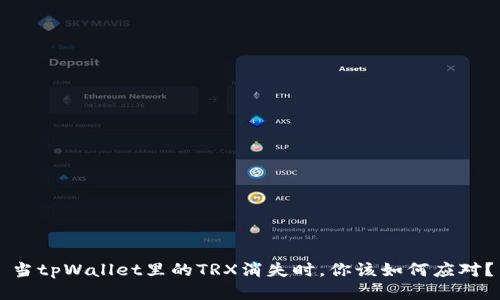 当tpWallet里的TRX消失时,你该如何应对?