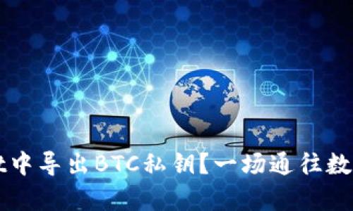 ### 如何在tpWallet中导出BTC私钥?一场通往数字货币世界的探险之旅