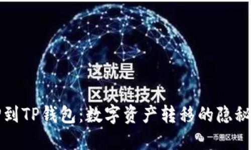 从OP到TP钱包:数字资产转移的隐秘通道